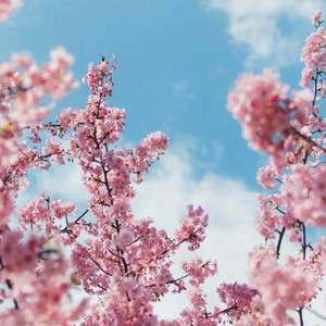 山林被姧续3～5
